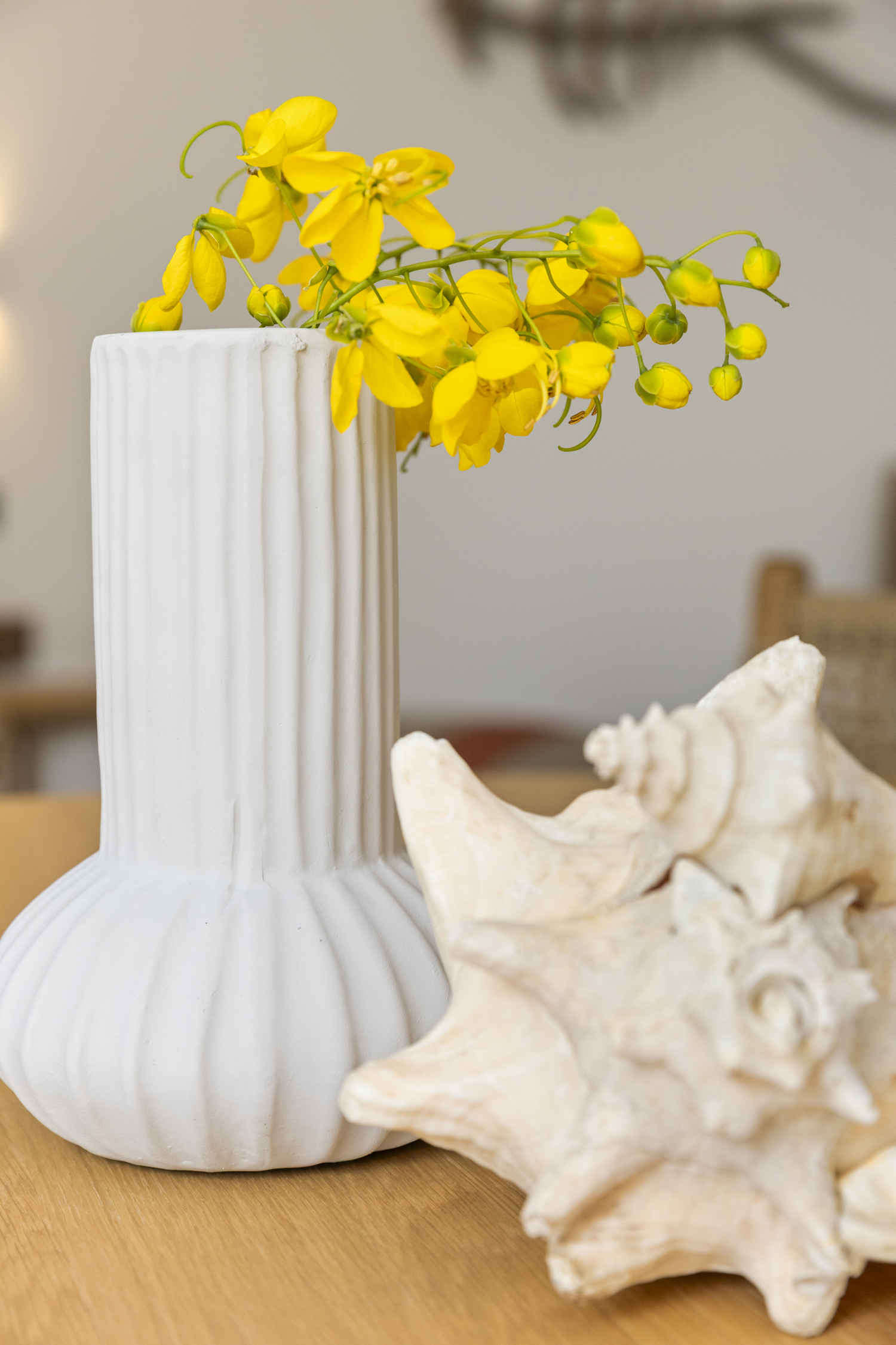 sorobon-bay-hotel_living_ground_floor_studio_014_WEB