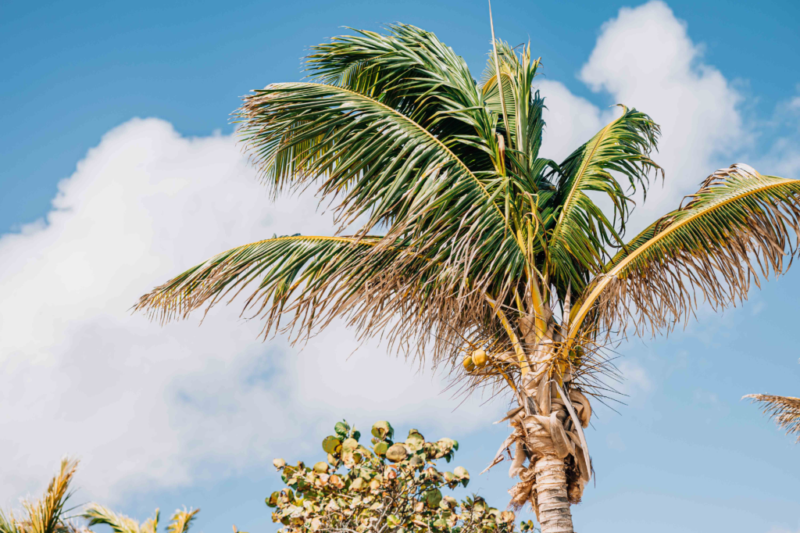 sorobon-bay-hotel---blog-post-what-tot-do-at-a-bonaire-hotel-for-a-serene-stay-