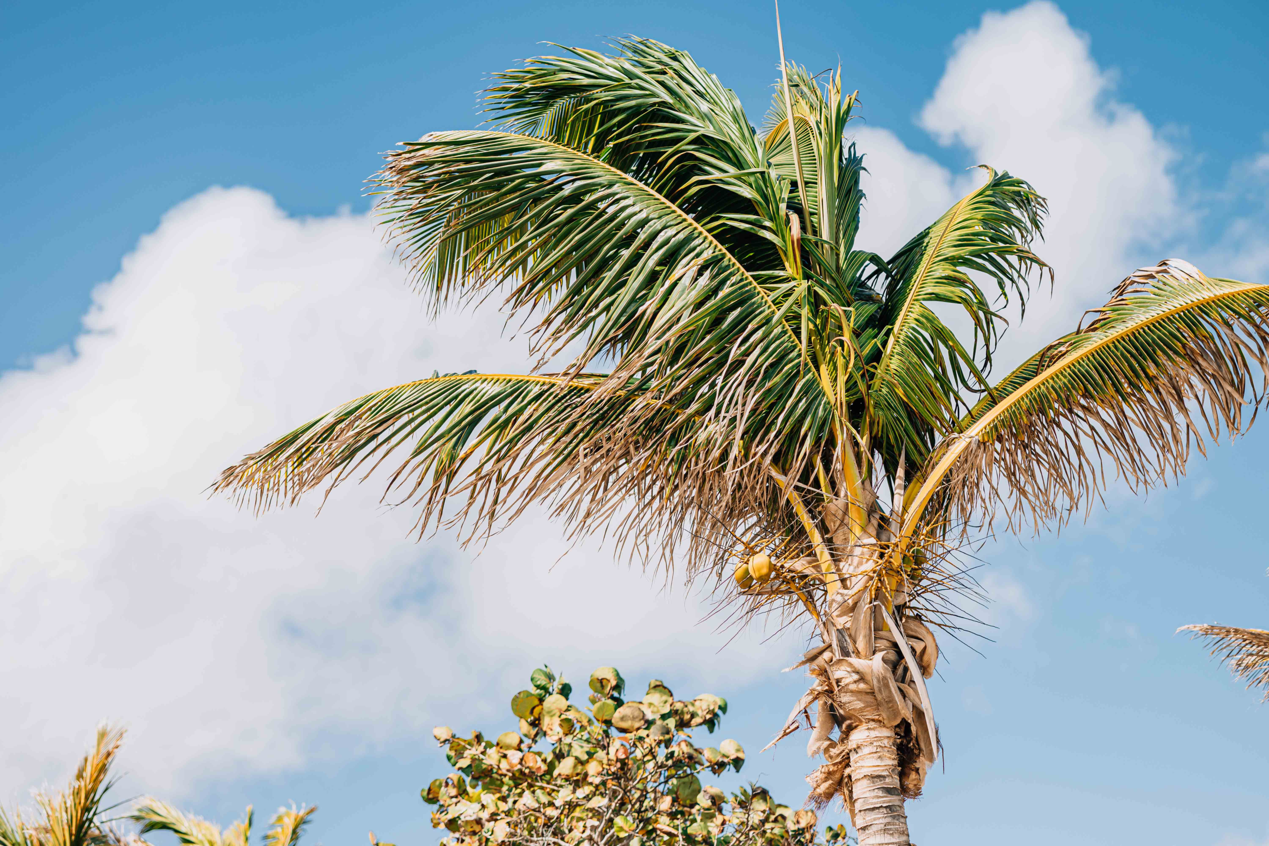 sorobon-bay-hotel---blog-post-what-tot-do-at-a-bonaire-hotel-for-a-serene-stay-